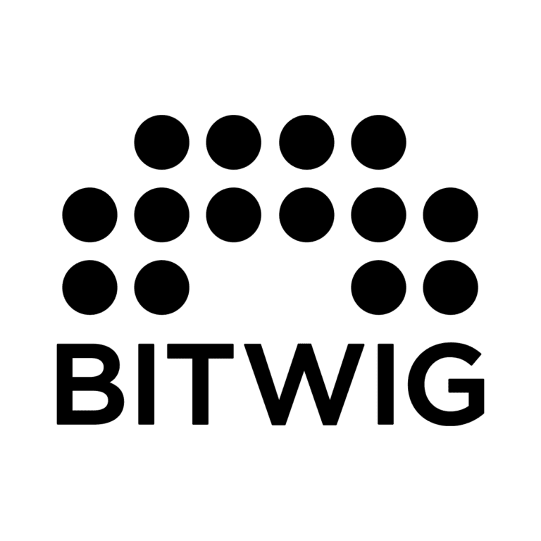 BITWING_Logo_Cerna